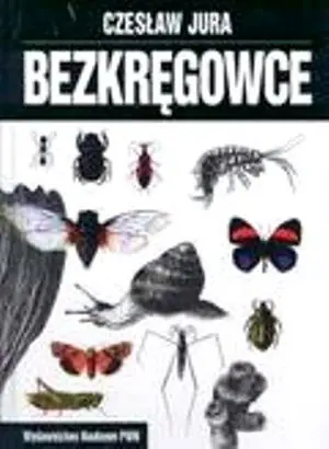 Bezkręgowce Zniżka