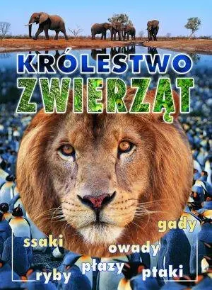 Taniej Królestwo zwierząt