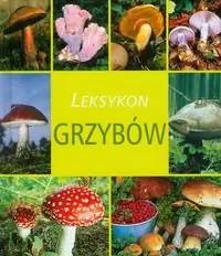 Leksykon grzybów Hit sprzedaży