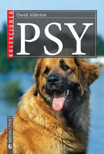 Popularny Psy
