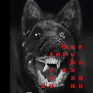 KARTOTEKA ROZRZUCONA. FOTOGRAFICZNA PODRÓŻ Z RÓŻEW Bezpieczna płatność