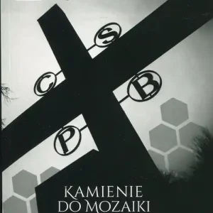 Kamienie do mozaiki Mnisi, mniszki, monastycyzm Ograniczona ilość