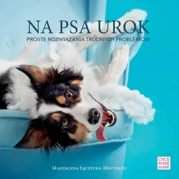 Na psa urok Wyjątkowa oferta