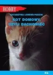 Kot domowy czyli dachowiec - Katarzyna Lorens-Padzik Promocja